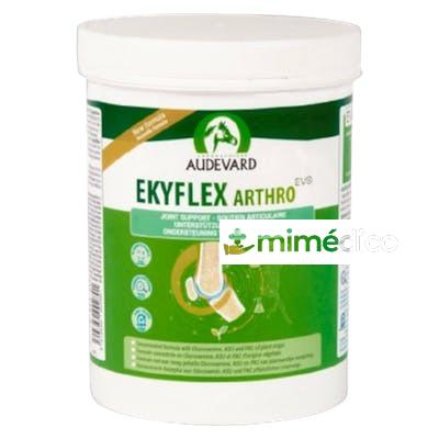 AUDEVARD EKYFLEX ARTHRO EVO 450GR VET AUDEVARD VET
