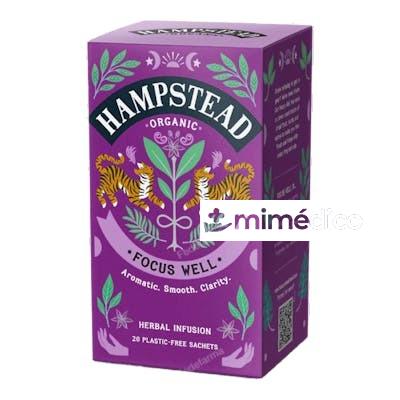 ORIENTAL CHAI INFUSION 20SBRS. BIO HAMPSTEAD