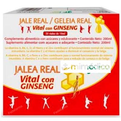 JALEA REAL VITAL CON GINSENG 20 AMP GHF