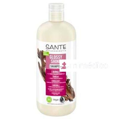 CHAMPU BRILLO RADIANTE ABEDUL 500 ML SANTE NATURKOSMETIK
