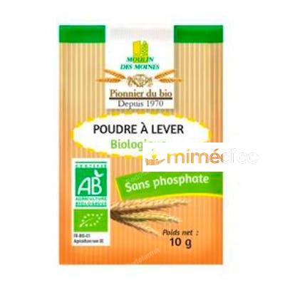 LEVADURA PARA PASTEL 8SBRSX10 GR BIO MOULINDESMOINES