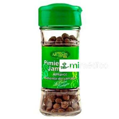 PIMIENTA DE JAMAICA ESPECIA 25 GR BIO ARTEMIS BIO
