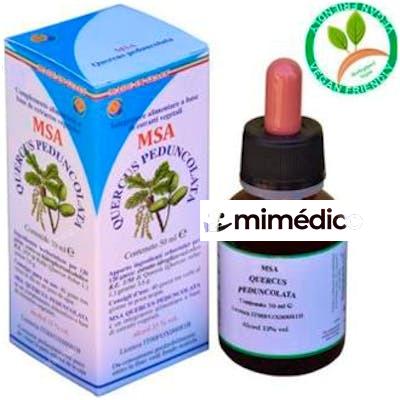 MSA QUERCUS PEDUNCOLATA YEMAS ( ROBLE) 50 ML HERBOPLANET