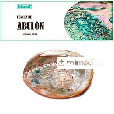 CONCHA DE ABULON 12-14CM 1UD. INKANAT