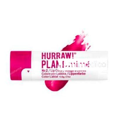 PLANTCOLOR COLOR LABIAL N 2 24 UDS HURRAW