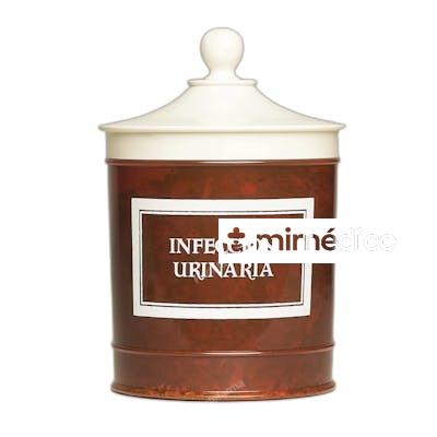 INFECCION URINARIA 90 GR AVERROES