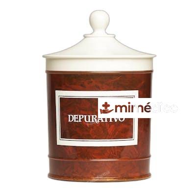 DEPURATIVO (DEPURPHYTON) 90 GR AVERROES