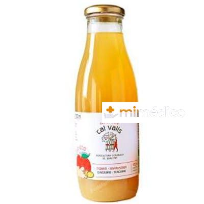 ZUMO DE MANZANA CON JENGIBRE 750 ML ECO CAL VALLS