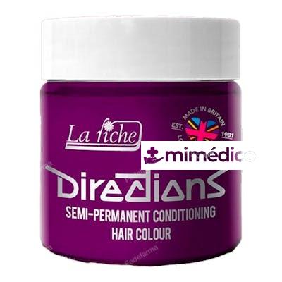 DIRECTIONS PLUM 100ML DIRECTIONS FARBSCHUTZ