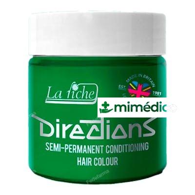 DIRECTIONS APPLE GREEN 100ML DIRECTIONS FARBSCHUTZ