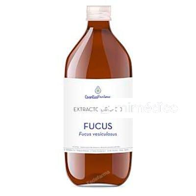 FUCUS EXTRACTO LIPIDICO 500 ML ESENTIAL AROMS