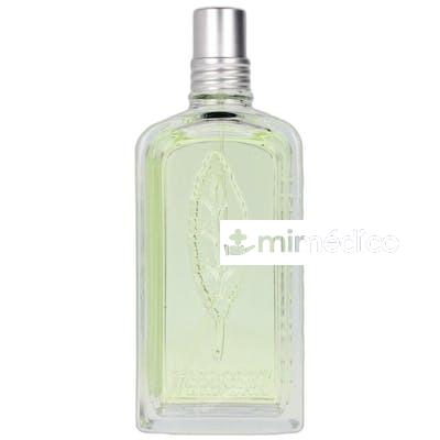 VERVEINE SORBET EDT VAPORIZADOR 100 ML NA LOCCITANE EN PROVENCE