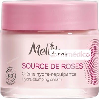 SOURCE DE ROSES CREMA HIDRATANTE FACIAL 50 ML NA MELVITA