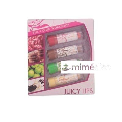 JUICY LIPS CASE 4 PZ NA THE COLOR WORKSHOP