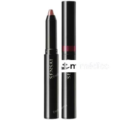 SILKY DESIGN ROUGE LAPIZ LABIAL 12 GR DR05 BENIUKON SENSAI