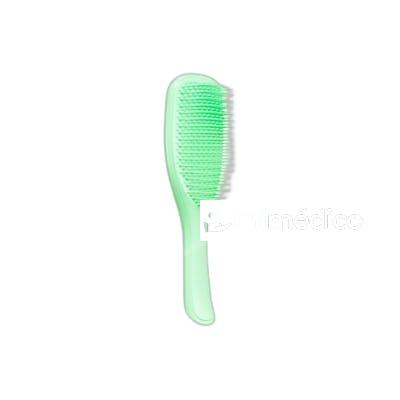 CEPILLO THE WET DETANGLER REGULAR NEO MINT TANGLE TEEZER