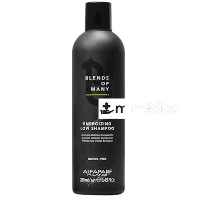 BLENDS OF MANY CHAMPU ENERGIZANTE DELICADO 250 ML NA ALFAPARF MILANO