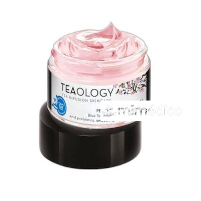 CREMA FACIAL HIDRATANTE TE DE MELOCOTON 50 ML NA TEAOLOGY