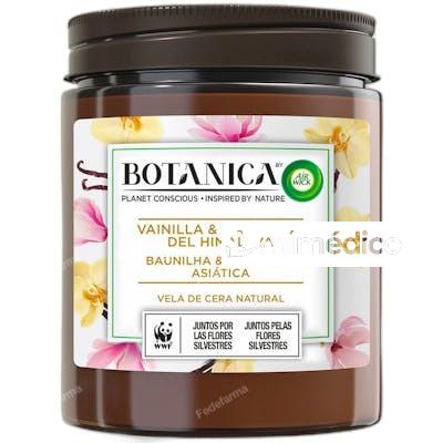 VELA AROMATICA CERA NATURAL VAINILLA Y MAGNOLIA DEL HIMALAYA AIR WICK