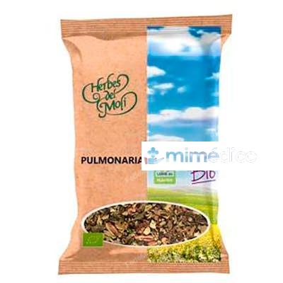 PULMONARIA HOJA 25 GR ECO ARTEMIS BIO