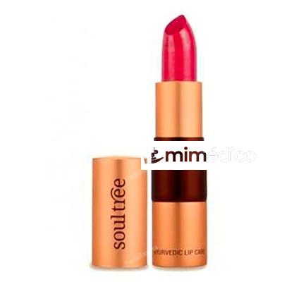BARRA DE LABIOS 5640 RASBERRY CRUSH 4 GR SOULTREE