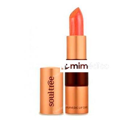 BARRA DE LABIOS 5 817 CANTALOUPE 4 GR SOULTREE