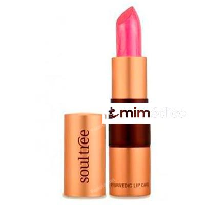 BARRA DE LABIOS  655 SUNSHINE 4 GR SOULTREE