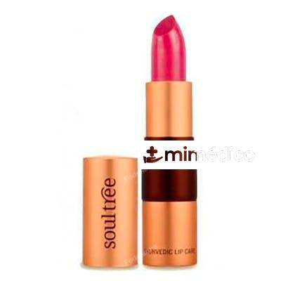 BARRA DE LABIOS  520 ICE PLUM 4 GR SOULTREE