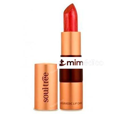 BARRA DE LABIOS 777 RICH EARTH 4 GR SOULTREE