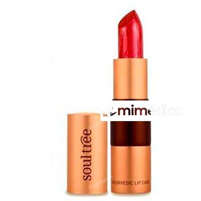BARRA DE LABIOS 5810 JAVA BROWN 4 GR SOULTREE