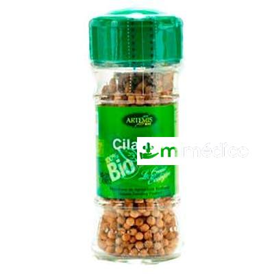 CILANTRO ESPECIA 20 GR ARTEMIS BIO