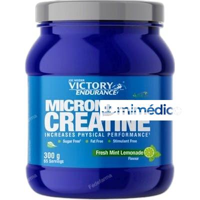 VICTORY ENDURANCE CREATINA 200 MESH ASTRAGIN MINT-LEMONADE 3 VICTORY ENDURANCE