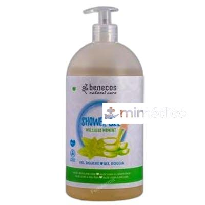GEL BAÑO FAMILIAR WELLNESS MOMENST ALOE-MELISA 950 ML BENECOS