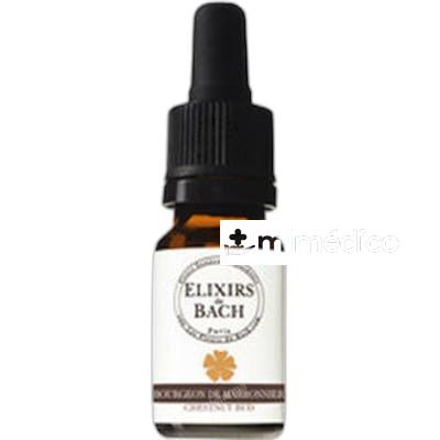 BROTE DE CASTAÑO 10 ML ELIXIR&AMP;CO