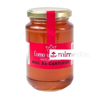 MIEL DE CANTUESO TARRO CRISTAL 300 GRS COMO UNA REINA
