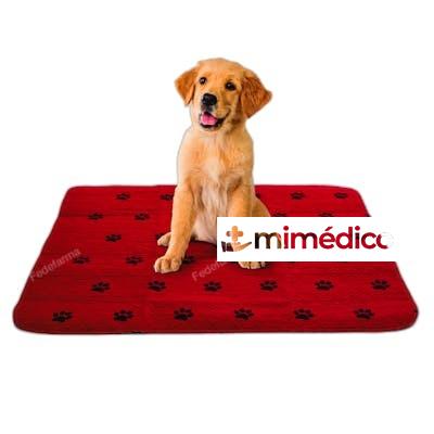 GARCIA EMPAPADOR ABSORBENTE REUTILIZABLE MASCOTAS 3047 GARCIA