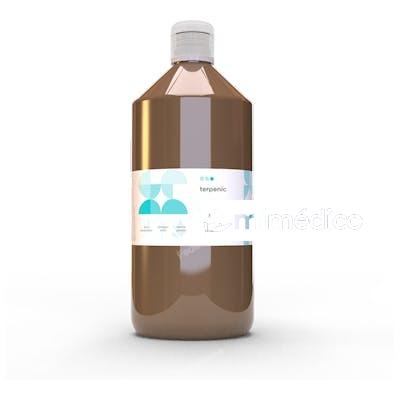 DREN ACEITE CORPORAL   1000ML TERPENIC