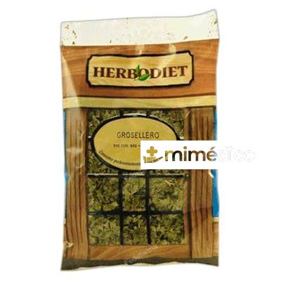GROSELLERO HOLA 40 GR NOVADIET