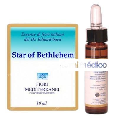 FM STAR OF BETHLEHEM (ESTRELLA DE BELEN) 10ML FORZA VITALE