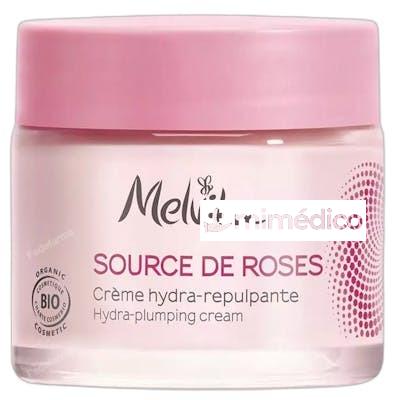 SOURCE DE ROSES CREMA HIDRATANTE REPULPANTE RECARGA 50 ML MELVITA