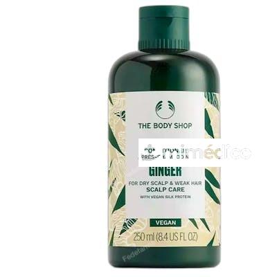 GINGER ACONDICIONADOR 250 ML THE BODY SHOP