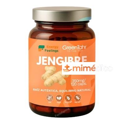ENERGY FEELINGS JENGIBRE 350 MG 120 CAPS ECO ENERGY FEELINGS