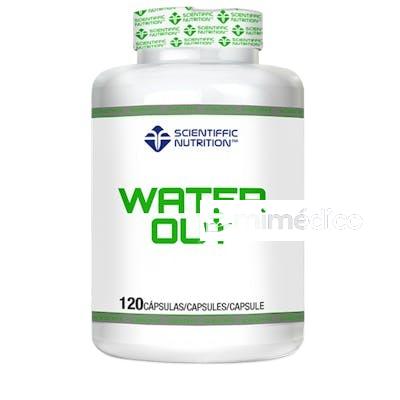 SCIENTIFFIC NUTRITION VITAMIN B12 100 MCG 100 CAPS SCIENTIFIC NUTRITION
