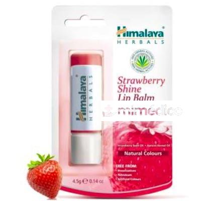 BALSAMO LABIAL BRILLO DE FRESA PACK 12UD.X4,5GR. HIMALAYA