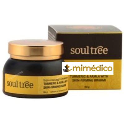 CREMA FACIAL REGENERADORA CURCUMA AMLA BHRAMI 60GR SOULTREE