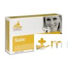 SALIX 120 COMP EUROHEALTH