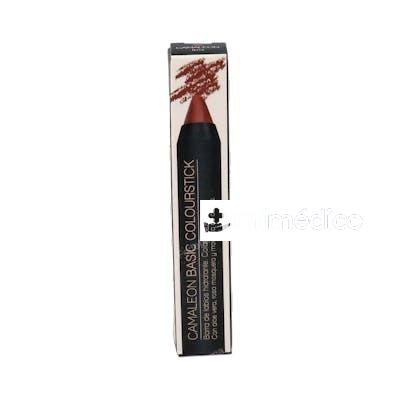 CAMALEON BASIC COLOURSTICK TERRA 4GR. CAMALEON COSMETICS