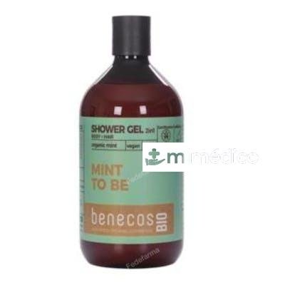 GEL DE BAÑO 2EN 1 MENTA 500ML. BIO VEGANO BENECOS
