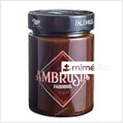 AMBROSIA CREMA DE CACAO 300GR. PALEOBULL