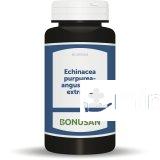 ECHINACEA PURPUREA-AGUNSTIFOLIA EXT. 60VCAP BONUSAN
